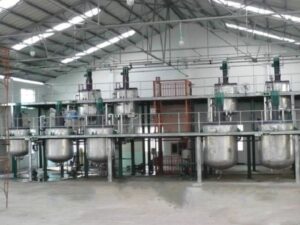 Industrial Scale Hot Melt Adhesive Plant